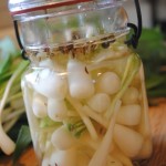 Ramp It Up!! Part 1 – Pickled Ramps